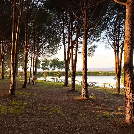 Отель Popilia Country 4*