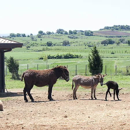 Popilia Country Отель