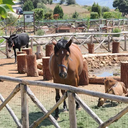 Popilia Country Пиццо