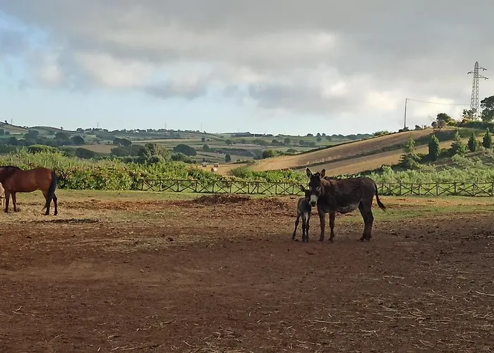 Popilia Country מלון
