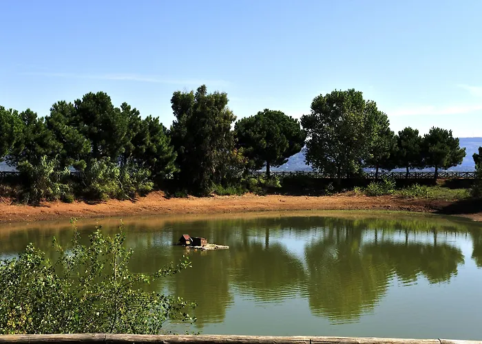 Popilia Country מלון פיצו