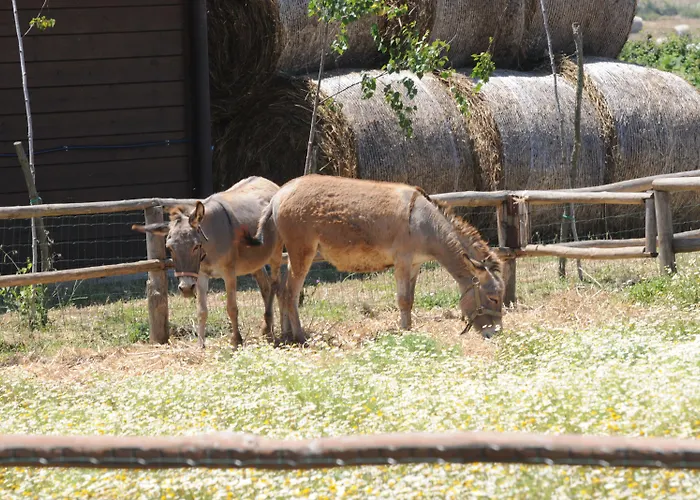 Popilia Country 4* פיצו