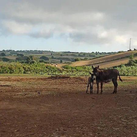 Popilia Country Otel