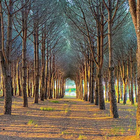 Otel Popilia Country 4*