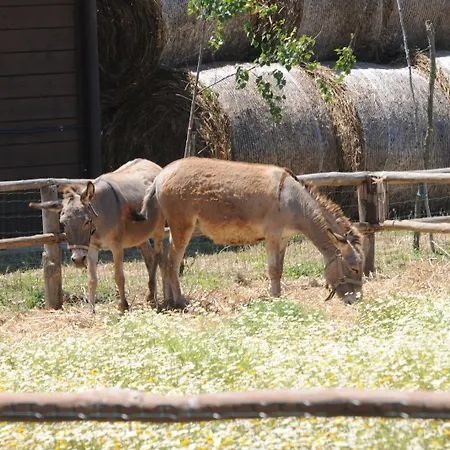 Popilia Country 4* Pizzo (Calabria)