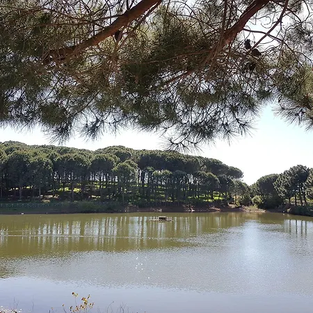 Popilia Country