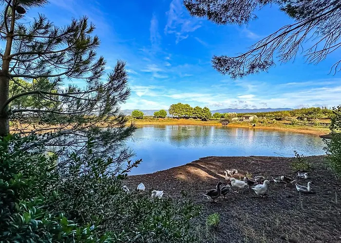 Hotel Popilia Country 4*