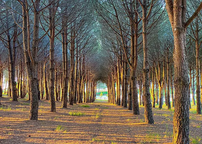 Hotel Popilia Country 4*