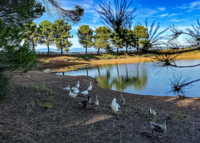 Popilia Country 4* Pizzo (Calabria)