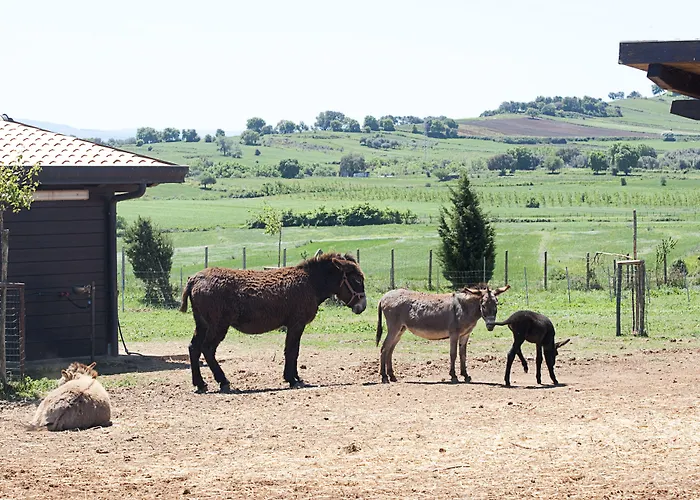 Popilia Country Hotel