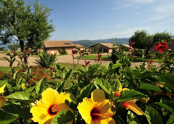 Popilia Country Hotel 4*