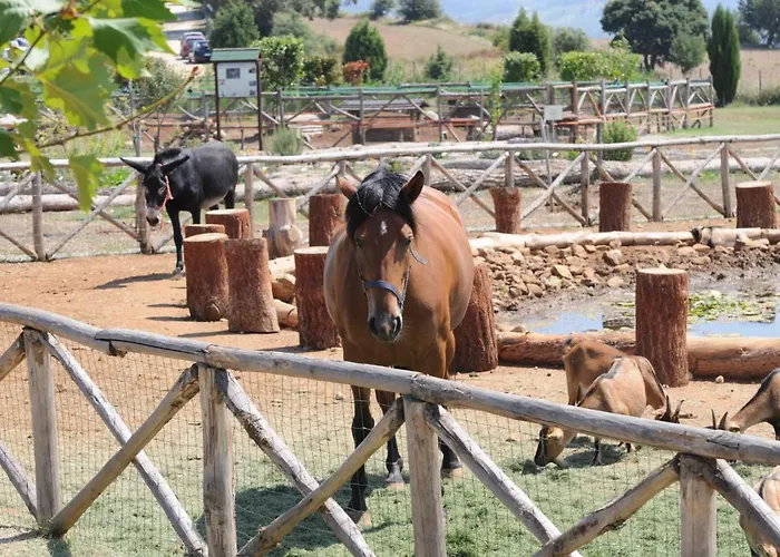 Popilia Country Pizzo (Calabria)